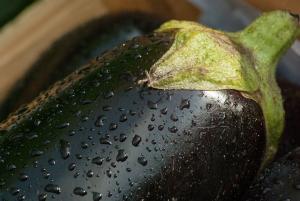 Berenjena frita