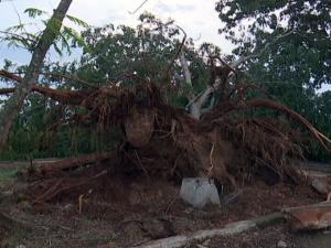 Tormenta local severa