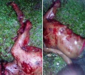 Brutal asesinato