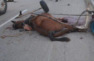 Accidente de tránsito en Yaguajay