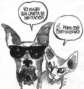 llevar tu mascota a Cuba