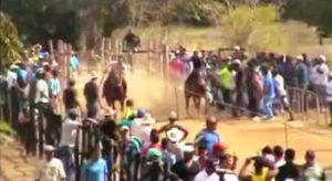 Carrera clandestina de caballos en Mayabeque