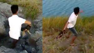 perrito al agua