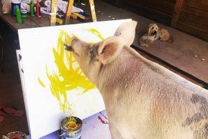 Pigcasso