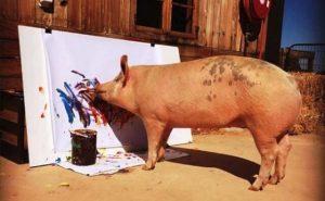 Pigcasso