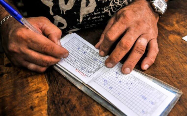 canasta familiar