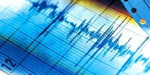 sismo perceptible