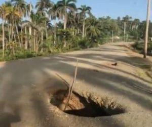 bache