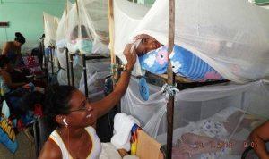 Dengue en Florida
