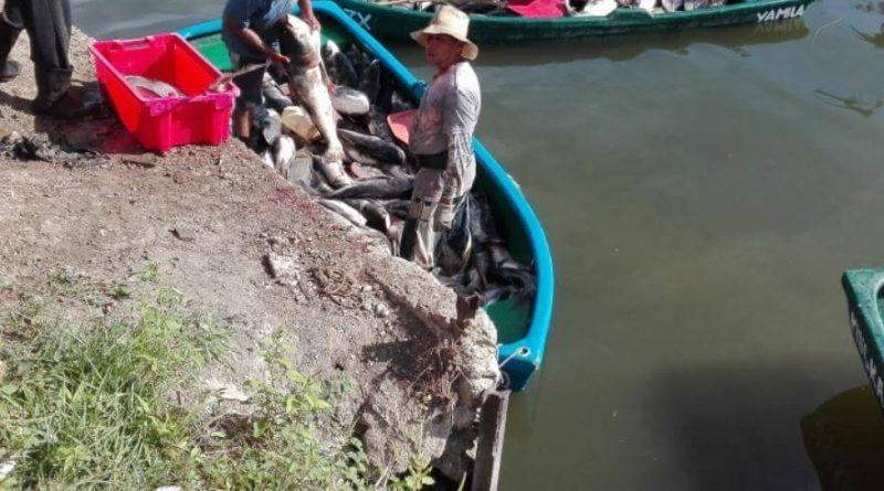 15 personas intoxicadas