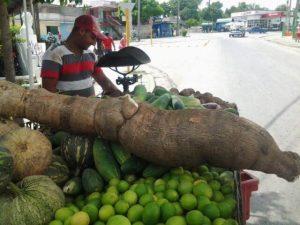 mega súper Yuca