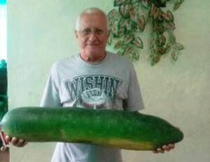 abuelo de Matanzas