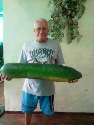 abuelo de Matanzas