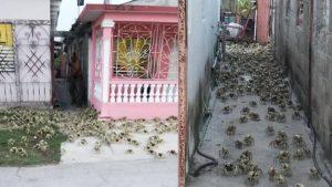 poblado de Caibarién