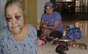 perritos en el Hotel Puntarena