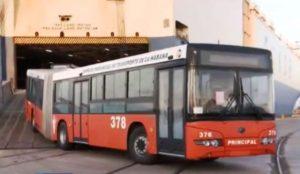autobuses chinos