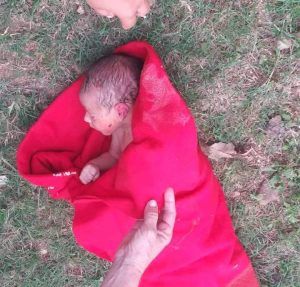 recién nacido abandonado en la línea