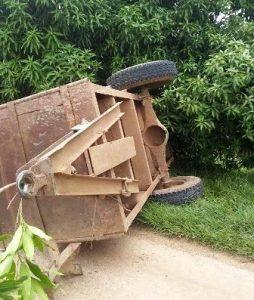 tractor en Niquero