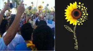 Marcha de los Girasoles