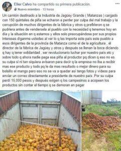 quintales de piña