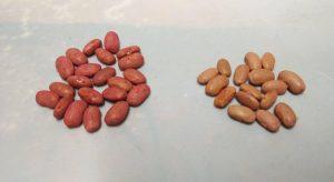 Frijoles colorados