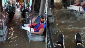 Ómnibus P1