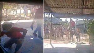vandalismo contra opositores cubanos