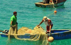 pesca ilegal