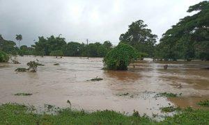 arrastrado por las fuertes corrientes de agua