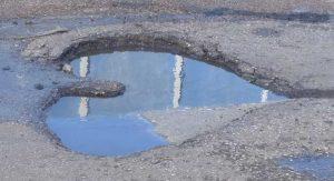 bache