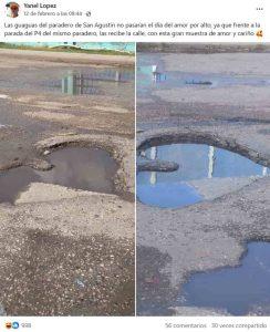 bache